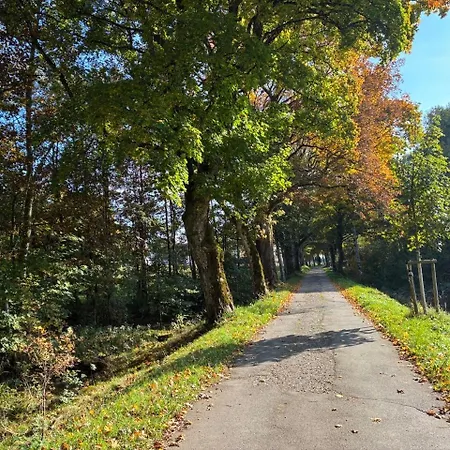 Eckis Eck 里肯巴赫